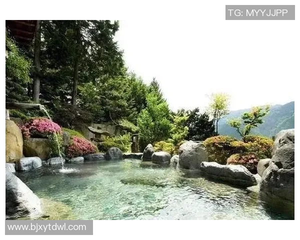 草津温泉与名古屋鲸八的魅力对决探秘日本温泉与美食的完美结合